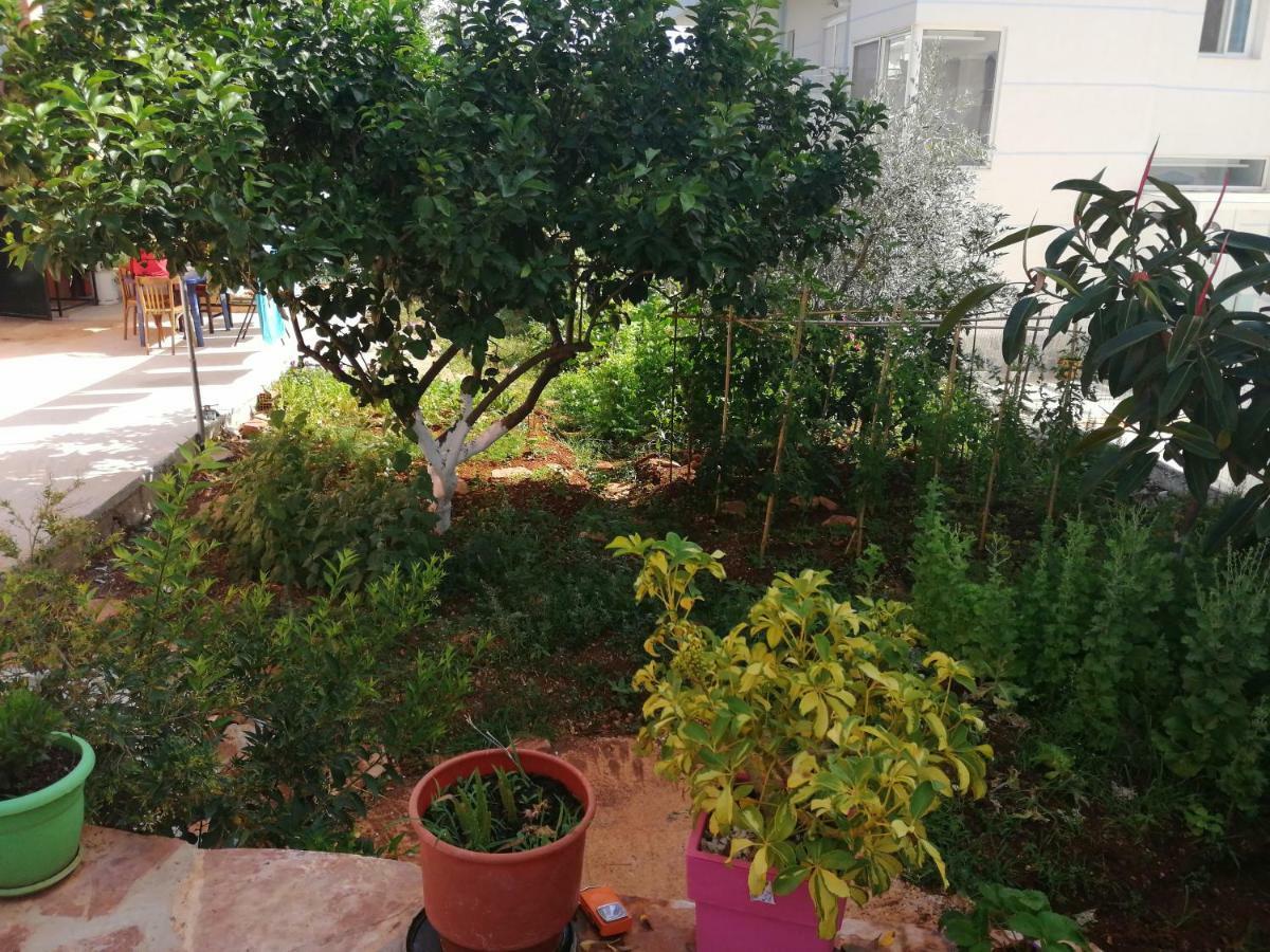 Helen'S House Διαμέρισμα Εξαμίλιο Εξωτερικό φωτογραφία